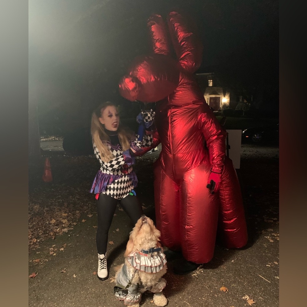 Spirit Red Inflatable Balloon Dog Costume - Picture 7 of 9